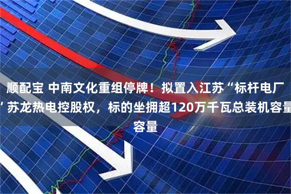 顺配宝 中南文化重组停牌！拟置入江苏“标杆电厂”苏龙热电控股权，标的坐拥超120万千瓦总装机容量