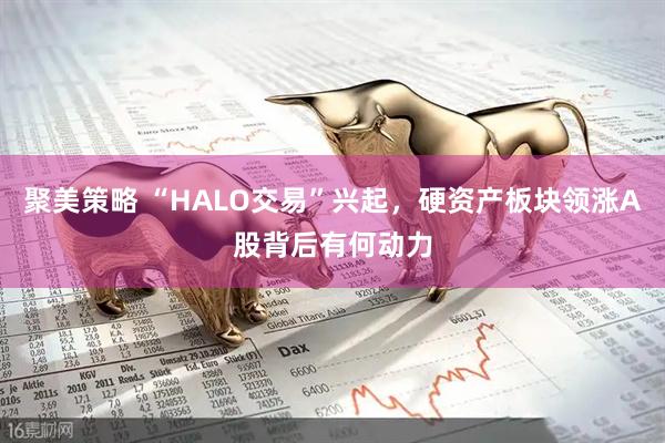 聚美策略 “HALO交易”兴起，硬资产板块领涨A股背后有何动力